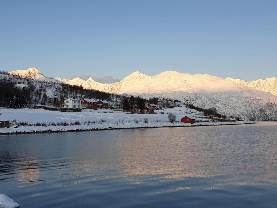 Traditional Farm House Located Close To Fjord Lyngseidet Exterior photo