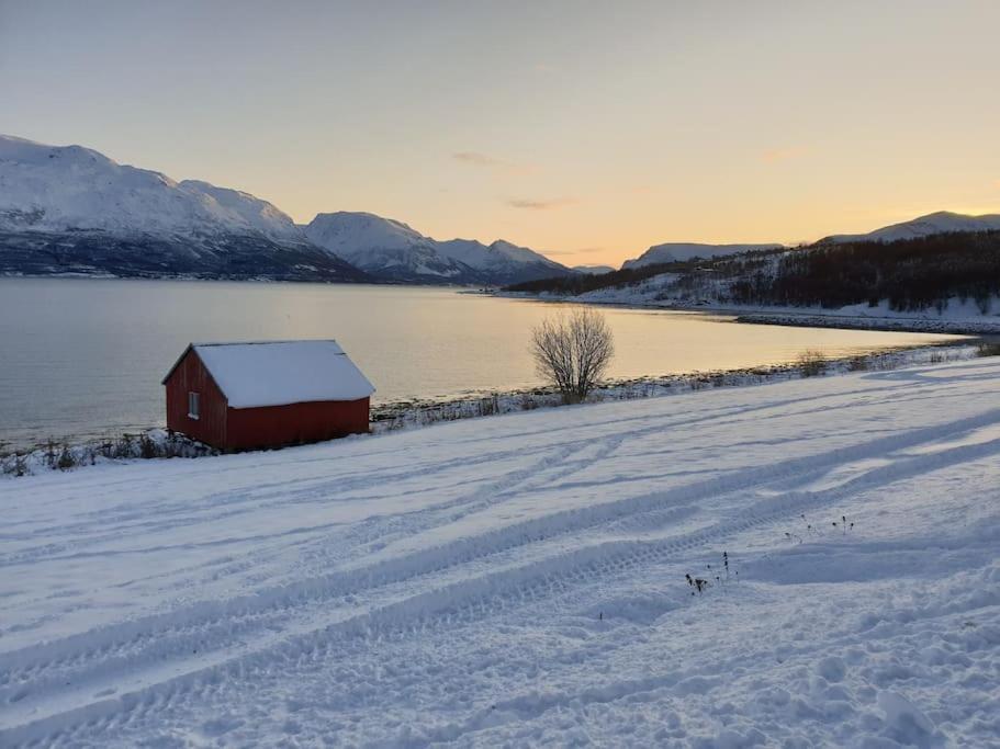 Traditional Farm House Located Close To Fjord Lyngseidet Exterior photo