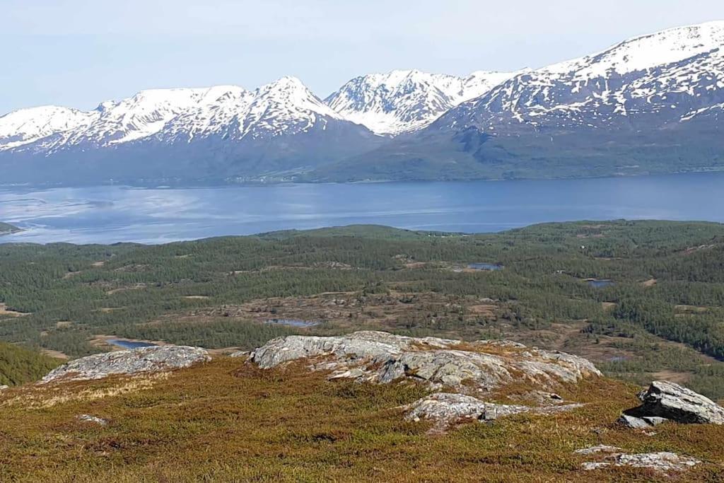 Traditional Farm House Located Close To Fjord Lyngseidet Exterior photo