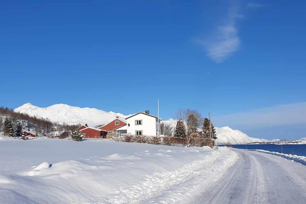 Traditional Farm House Located Close To Fjord Lyngseidet Exterior photo