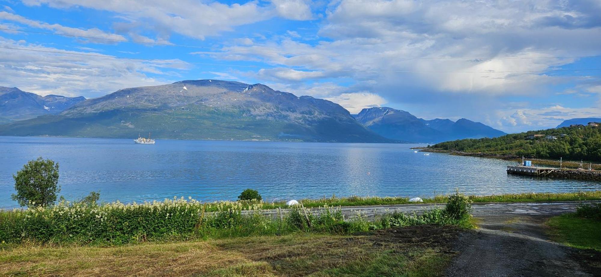 Traditional Farm House Located Close To Fjord Lyngseidet Exterior photo